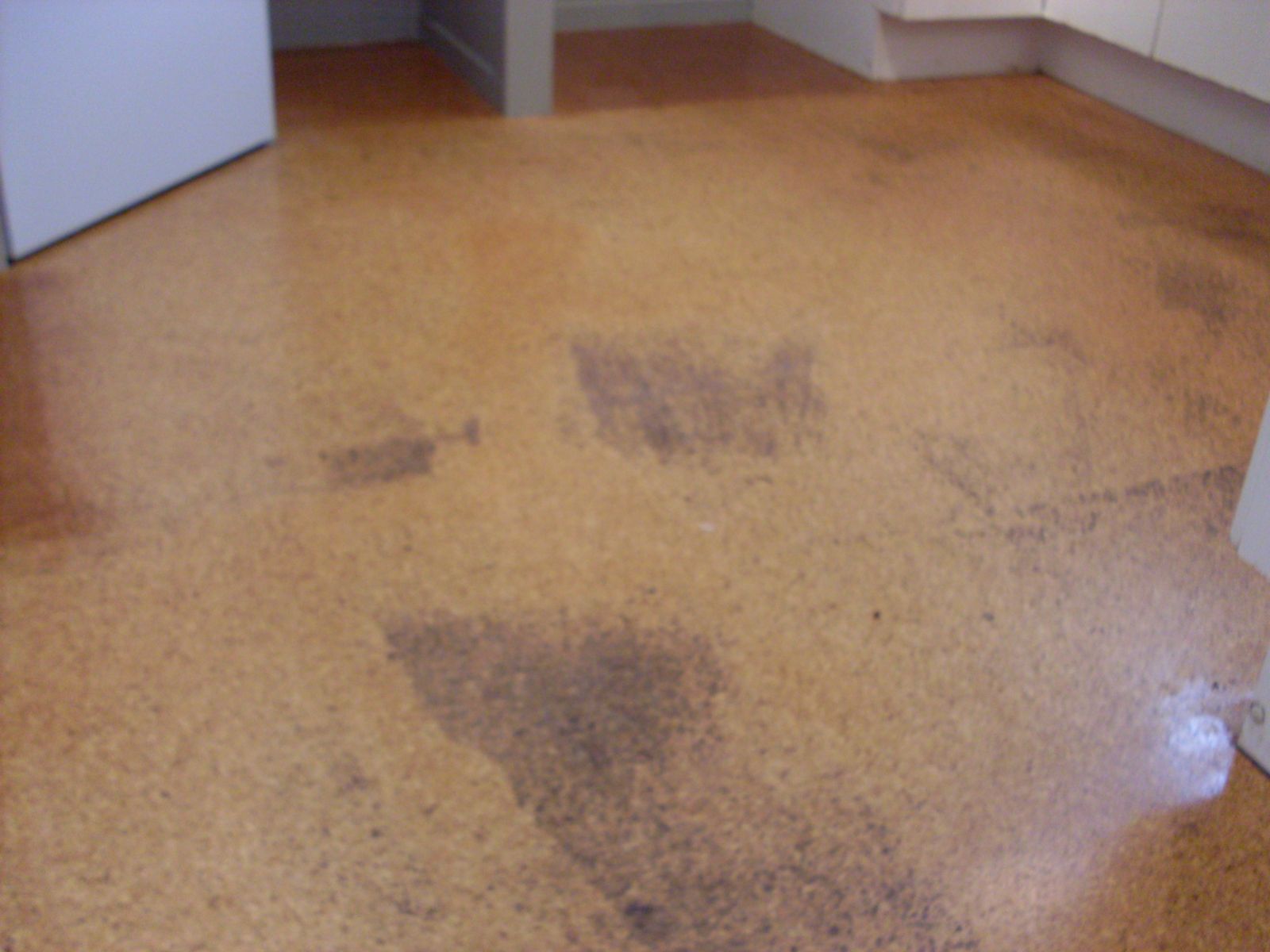 Can I Paint Over Cork Floor Tiles - Carpet Vidalondon